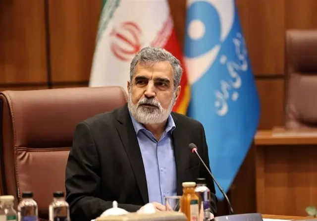 کمالوندی: منافعمان را به دست خواهیم آورد