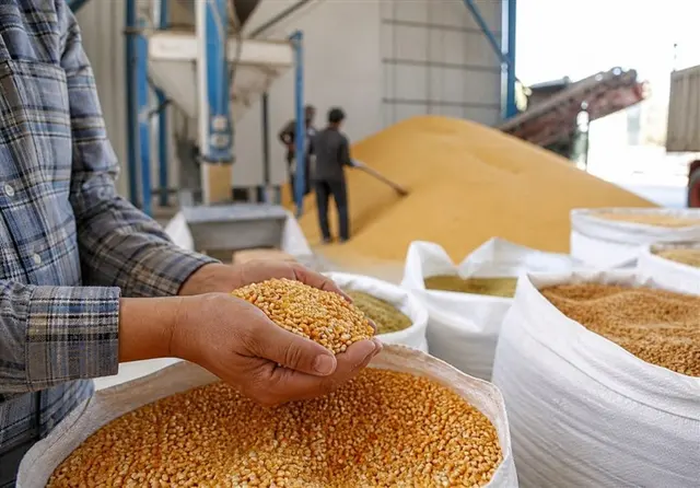 آزمون ثبات بازار کالاهای اساسی؛ از ذخایر 6 ماهه تا توزیع با تورم صفر