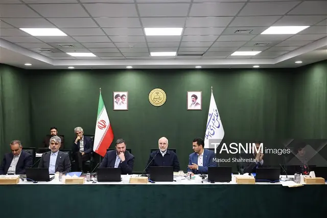 سعیدی: تعطیلی مجلس را نمی‌توان صرفاً با تشکیل نشدن جلسات علنی سنجید