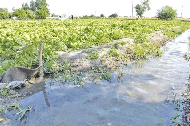 پساب واوان در رودخانه؛ کشاورزی اسلامشهر معطل وعده‌ها
