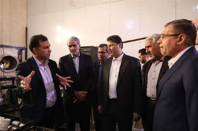 تصویب حمایت‌های یک‌همتی برای 90 شرکت دانش‌بنیان فارس