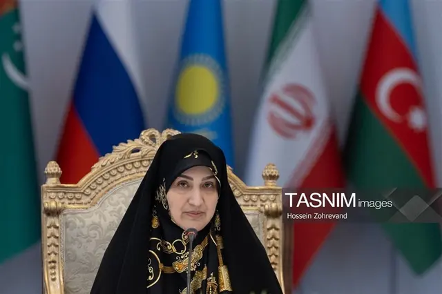 رفیعی: افزایش تعداد نمایندگان ضروری است / طرح مجلس برای افزایش کرسیها