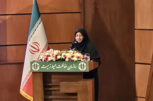 انصاری: 154 محیطبان شهید و 374 محیطبان جانباز و مصدوم داریم